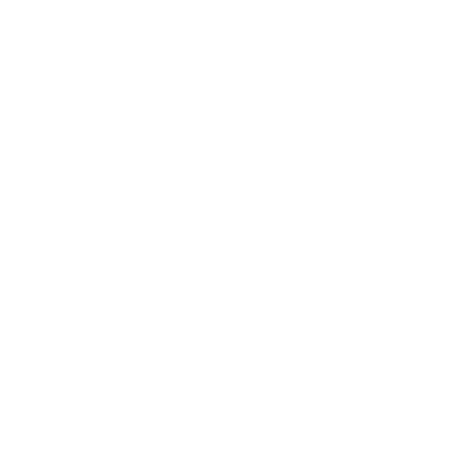 Equilibrio Investidor